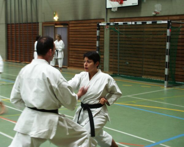 Karate training (3/6)
